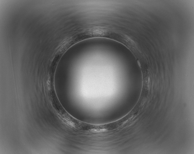 X0000060740552200511101111