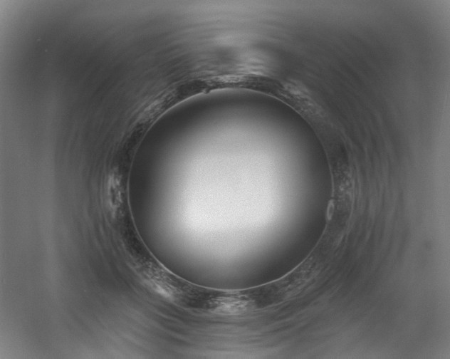 X0000060740555200511101111