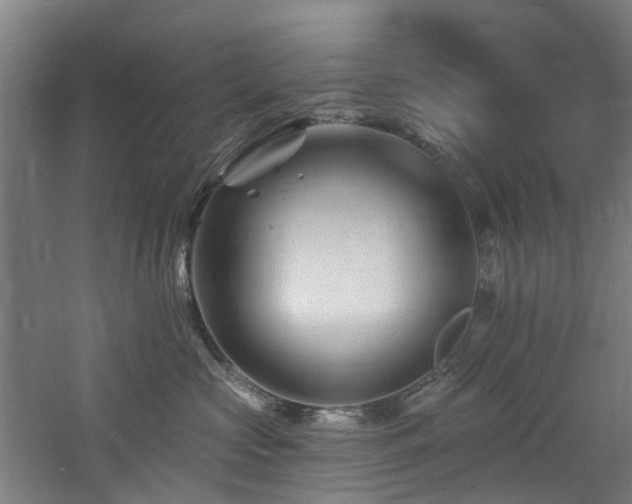 X0000060740573200511101111