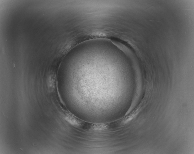 X0000060740576200511101111