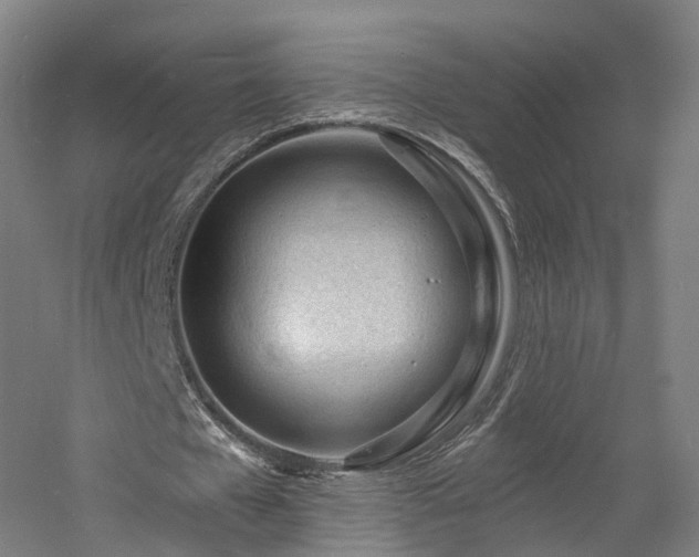 X0000060740577200511101110