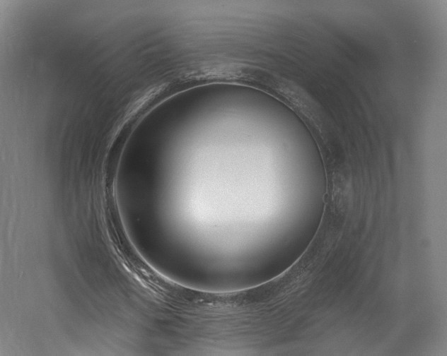 X0000060740578200511101110