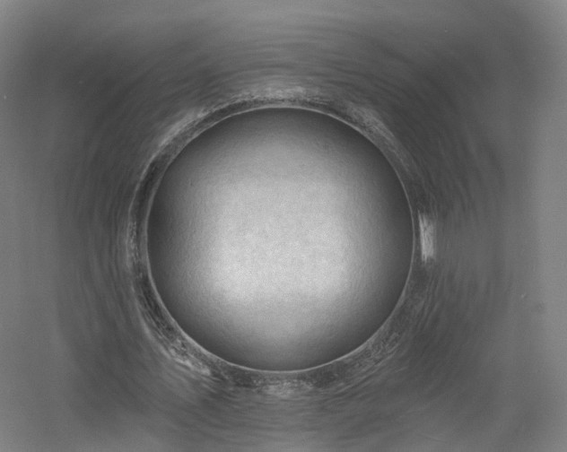 X0000060740579200511101110