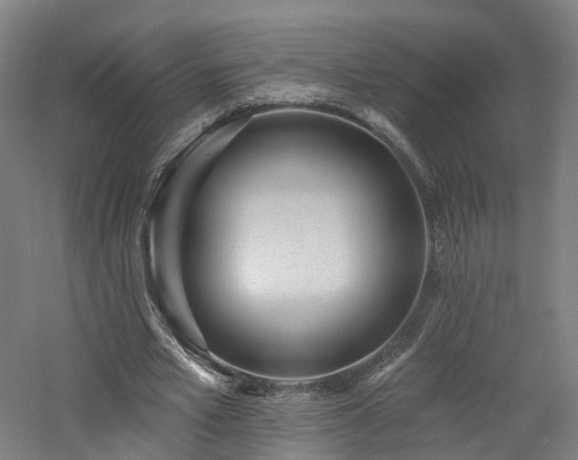 X0000060740581200511101110