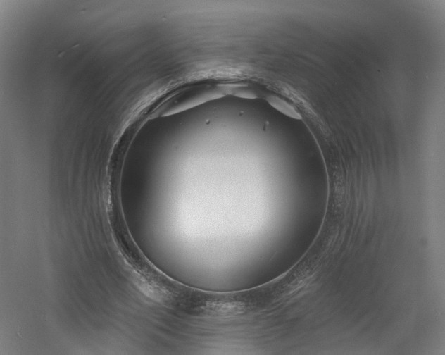 X0000060740582200511101110