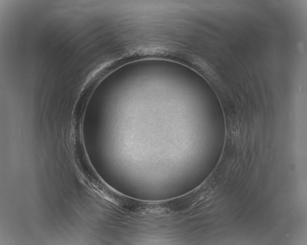 X0000060740583200511101110