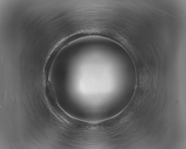 X0000060740584200511101110