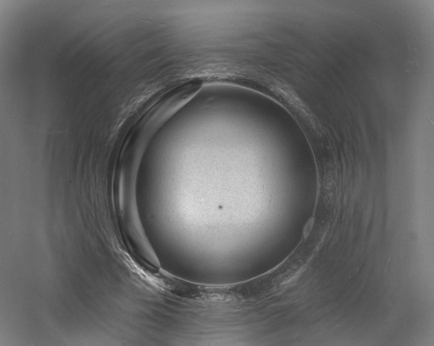 X0000060740585200511101110