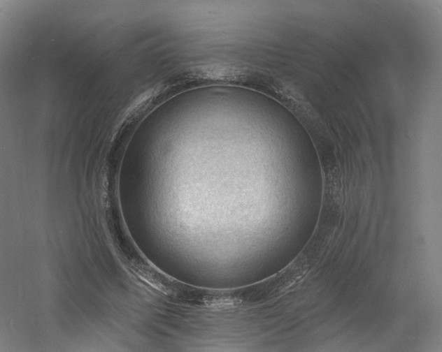 X0000060740587200511101110