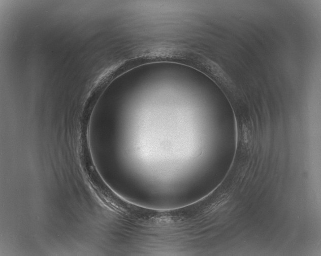 X0000060740588200511101110