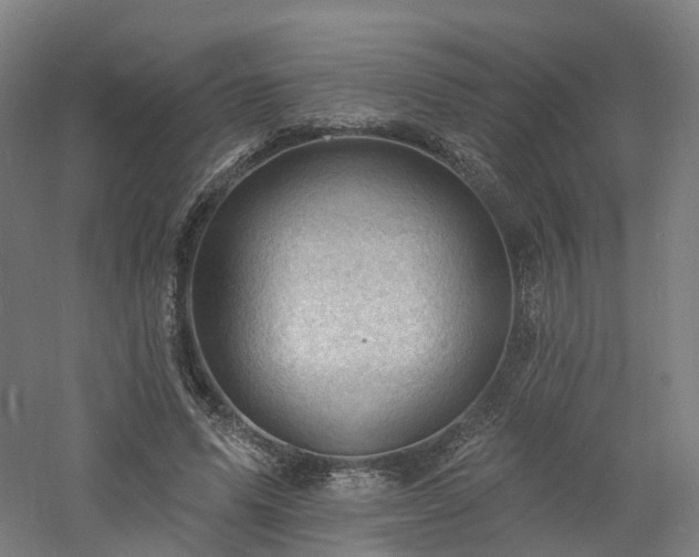 X0000060740591200511101110