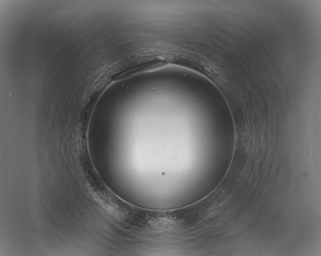 X0000060740594200511101110