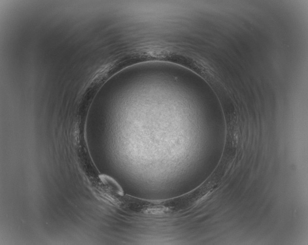 X0000060740595200511101110