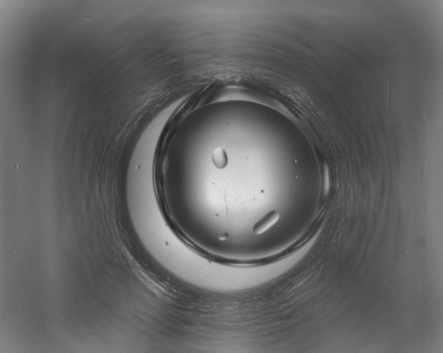 X0000060740598200511101110