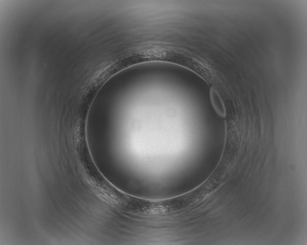 X0000060740600200511101110