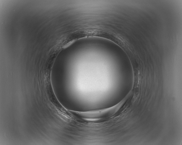 X0000060740601200511101110