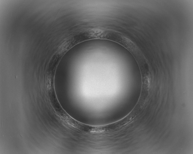 X0000060740602200511101110