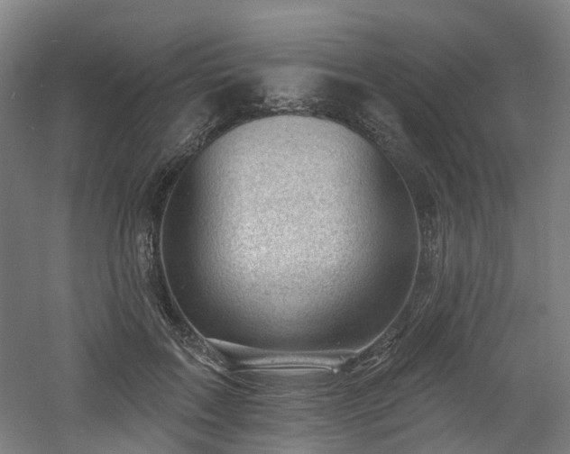 X0000060740603200511101110