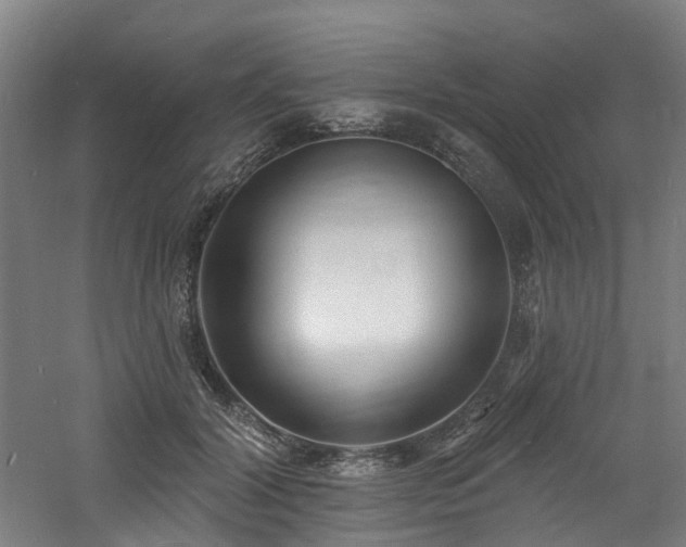 X0000060740604200511101110