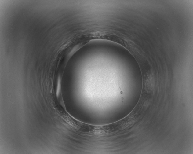 X0000060740608200511101110