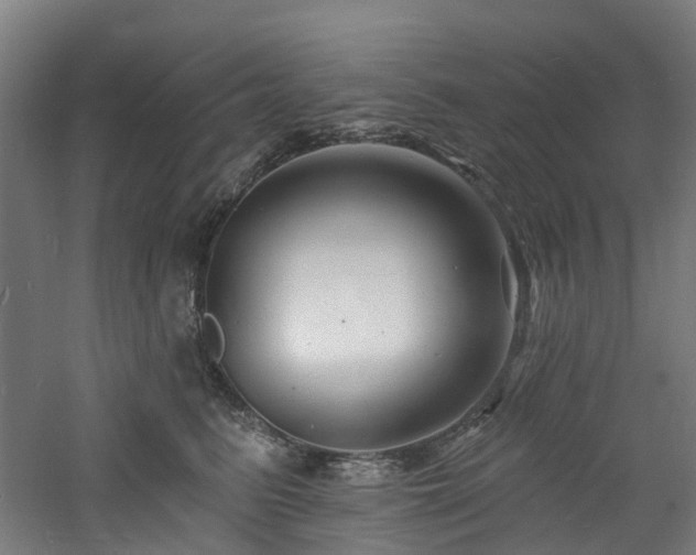 X0000060740615200511101109