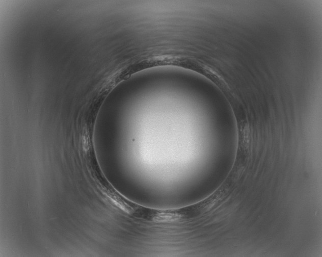 X0000060740617200511101109