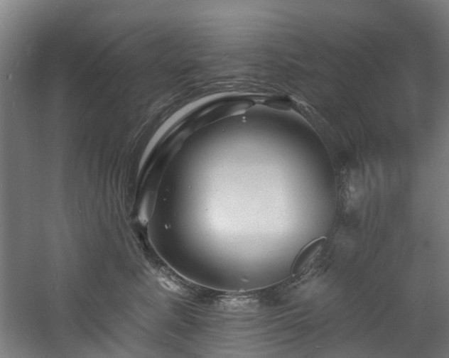 X0000060740619200511101109