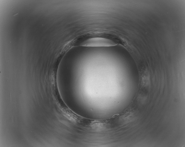 X0000060740620200511101109