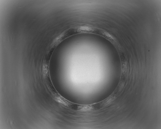 X0000060740621200511101109