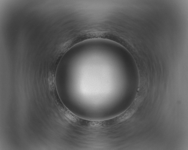 X0000060740624200511101109