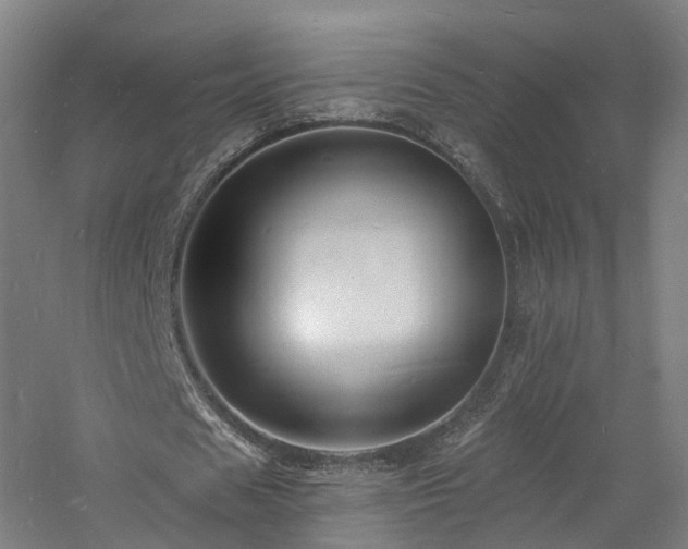 X0000060740625200511101108