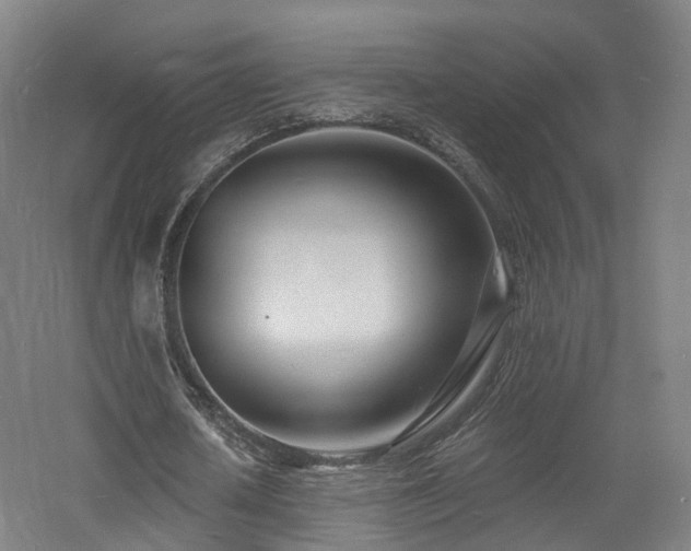 X0000060740626200511101108