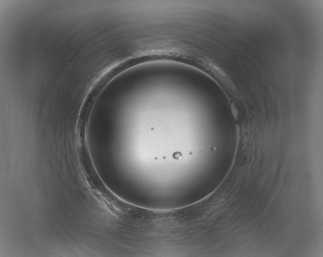 X0000060740628200511101108