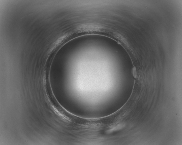 X0000060740629200511101108