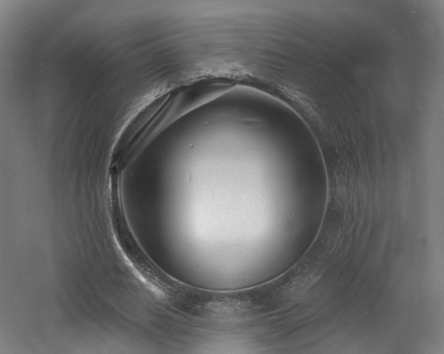 X0000060740630200511101109