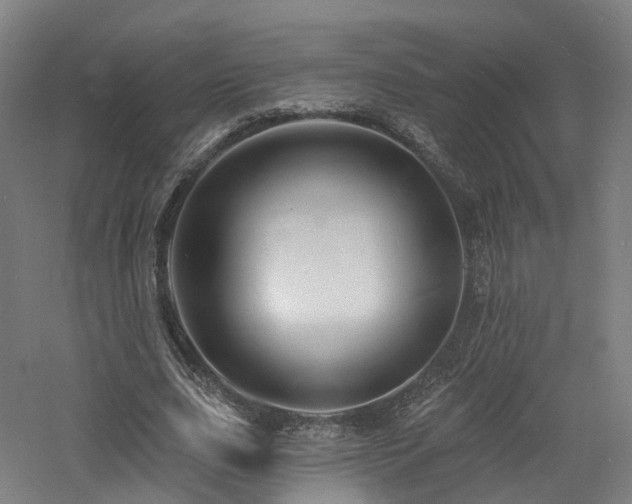 X0000060740631200511101109