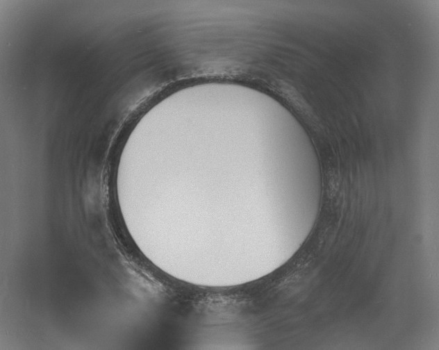 X0000060740632200511101109