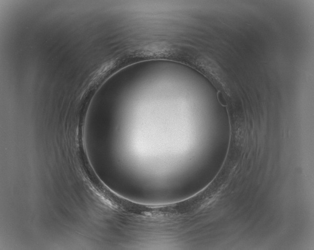 X0000060740633200511101109