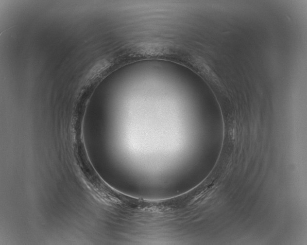 X0000060740635200511101109