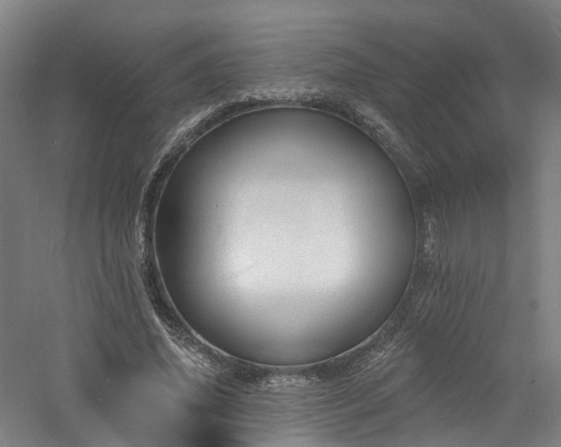 X0000060740636200511101109