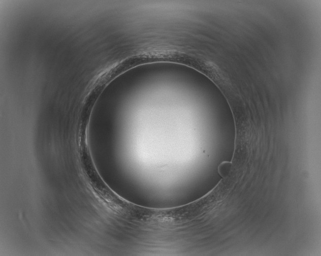 X0000060740640200511101109