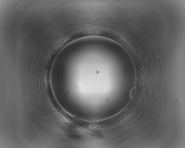 X0000060740641200511101109