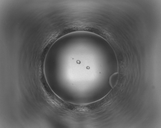 X0000060740642200511101109