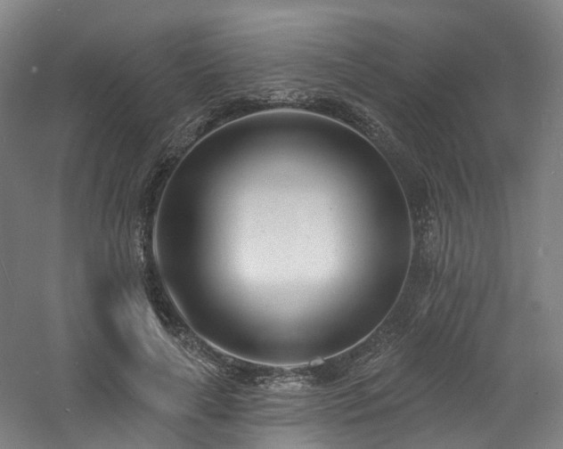 X0000060740643200511101109