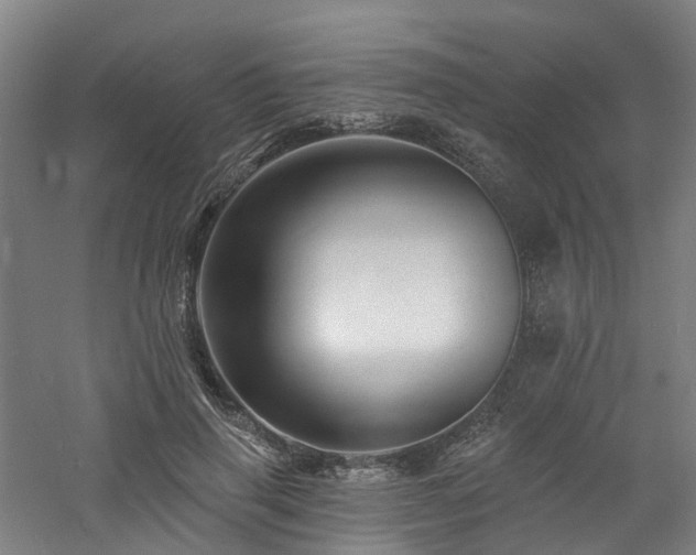 X0000060740645200511101109