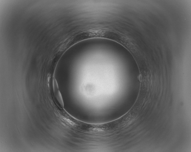 X0000060740649200511101109