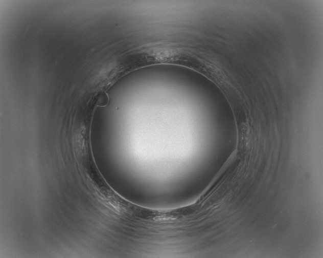 X0000060740650200511101109