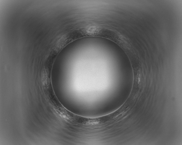 X0000060740651200511101109