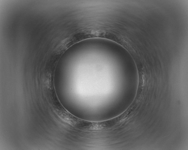 X0000060740656200511101109