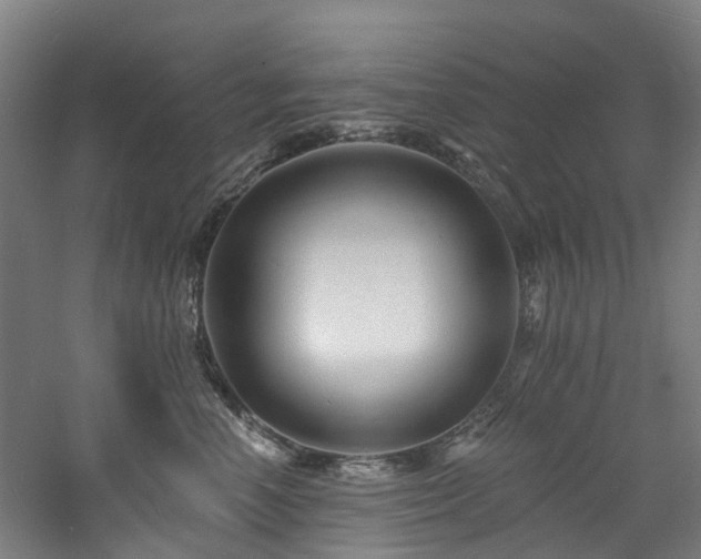 X0000060740666200511101109